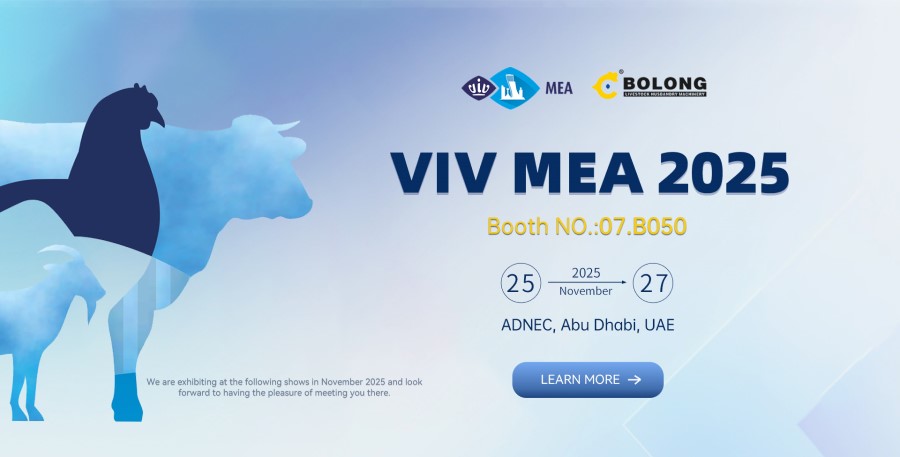 Bolong Participates in VIV MEA 2025 Bolong Participates in VIV MEA 2025