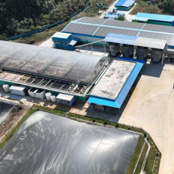 Bolong Enable Efficient Manure and Odor Management for Large-Scale Pig Farms in Vietnam