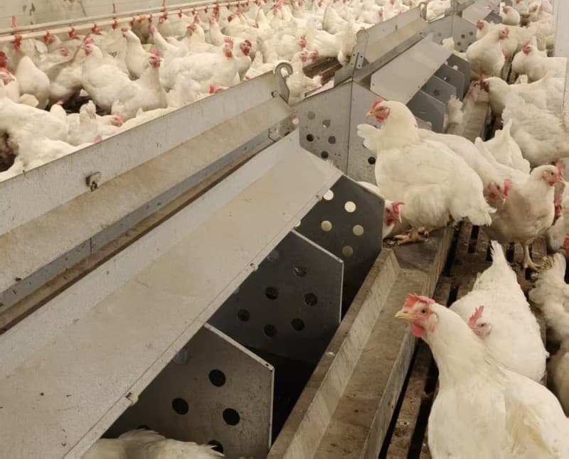 Southeast Asian customer site