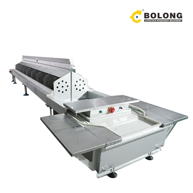 automatic egg collection machine