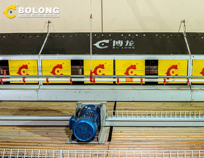 BLJD-Z7 egg collecting machine