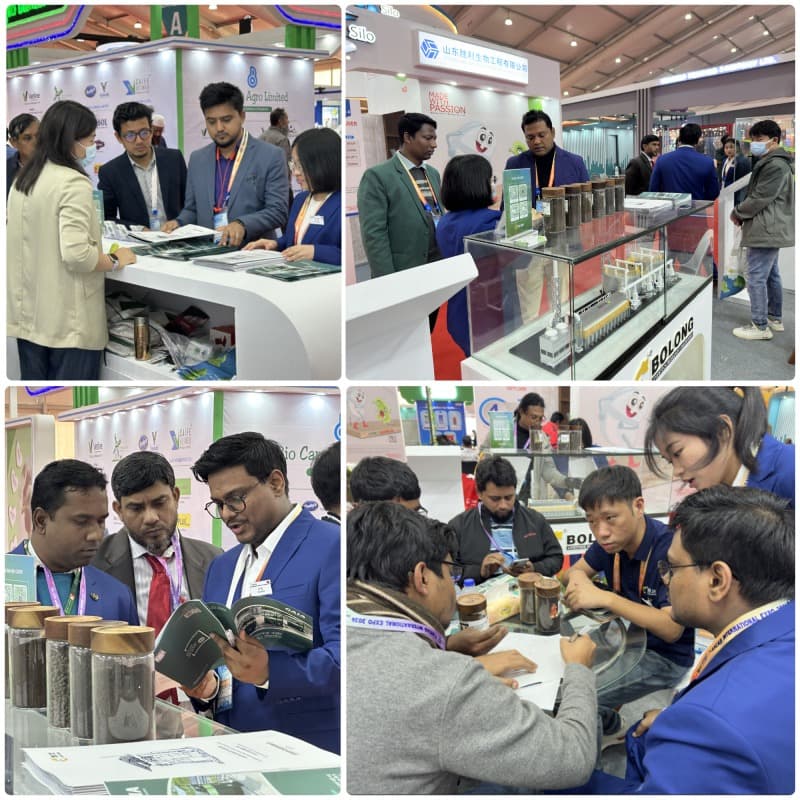 Blank 4 Grids Collage.jpg