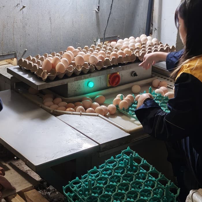 One-button operation reduces reliance on manual expertise.