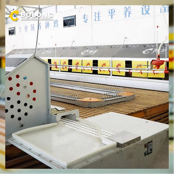 Automatic Egg Collector.jpg