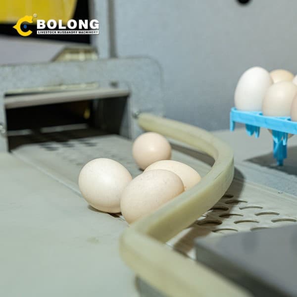 stable conveyor belt operation.jpg