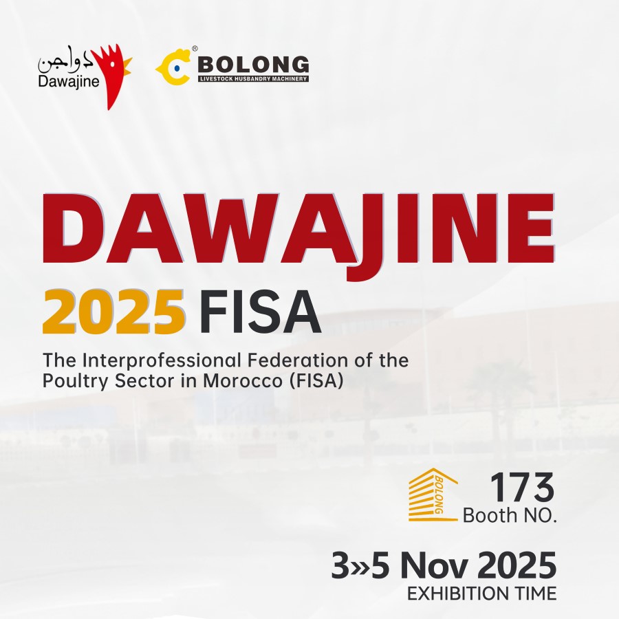 Dawajine 2025 Morocco: Bolong’s Dual Techs Empower Poultry