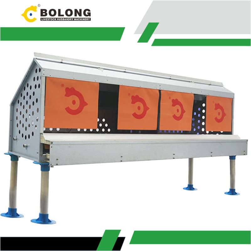 How can "Automatic Egg Collecting Machines" eliminate contamination at the source?