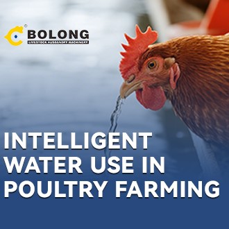 VIV PMRT  Certified: Bolong Commercial Compost Machine Empowers Poultry Smart Water Utilization