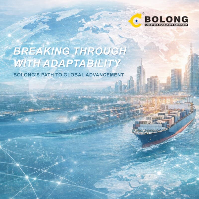 Breaking Through with "Adaptability": Bolong’s Globalization Journey